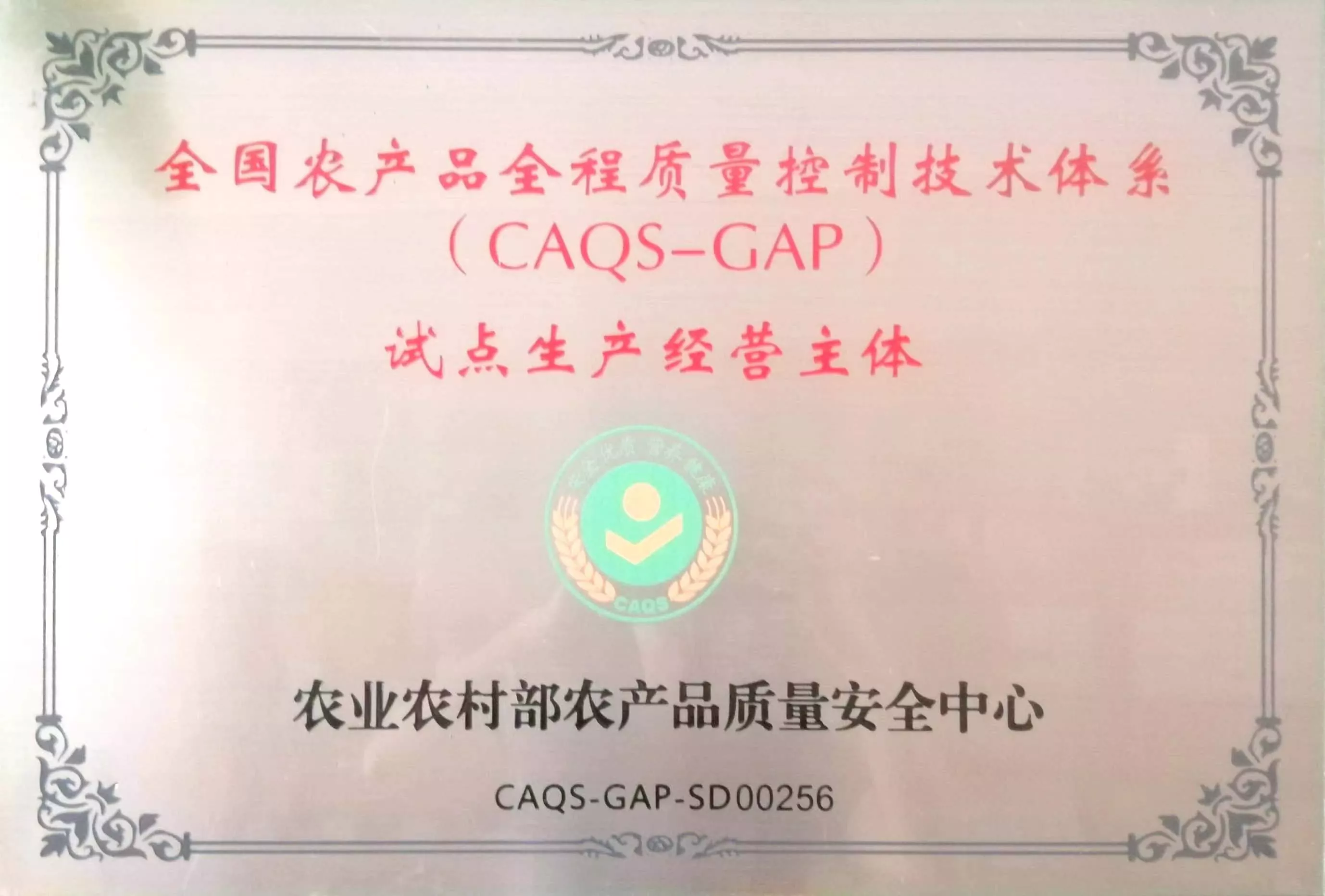 试点生产经营主体