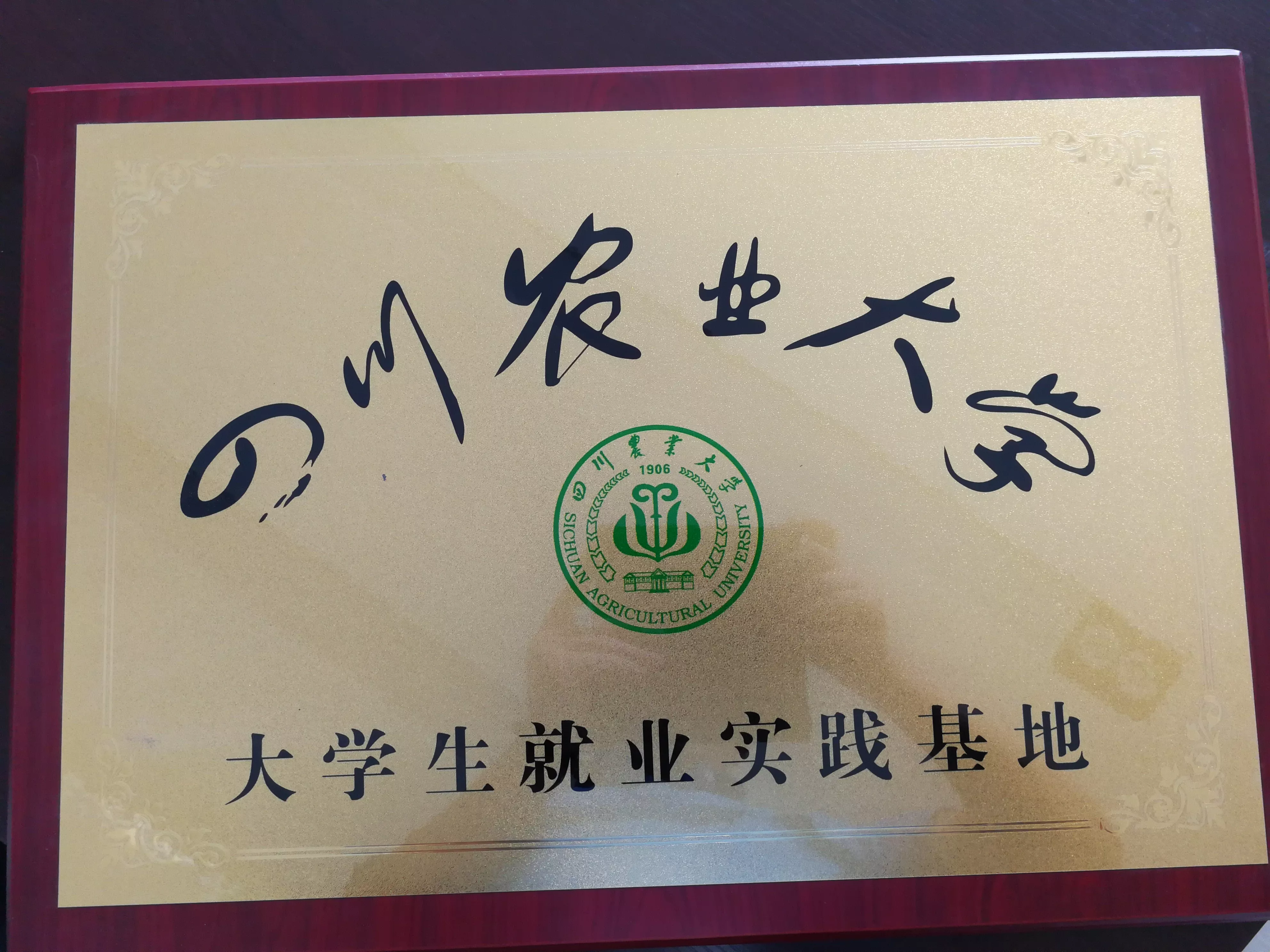 大学生就业实验基地