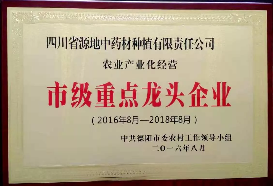 市龙头企业