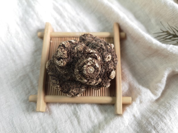 月经老不来？赶快试试四川川芎