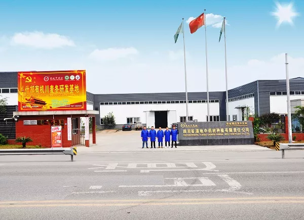 四川省源地中药材公司大门