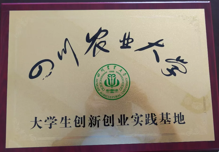 创新创业实践基地
